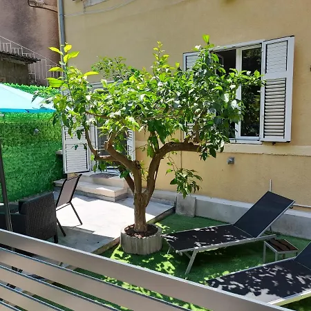 Blue Harmony * Split